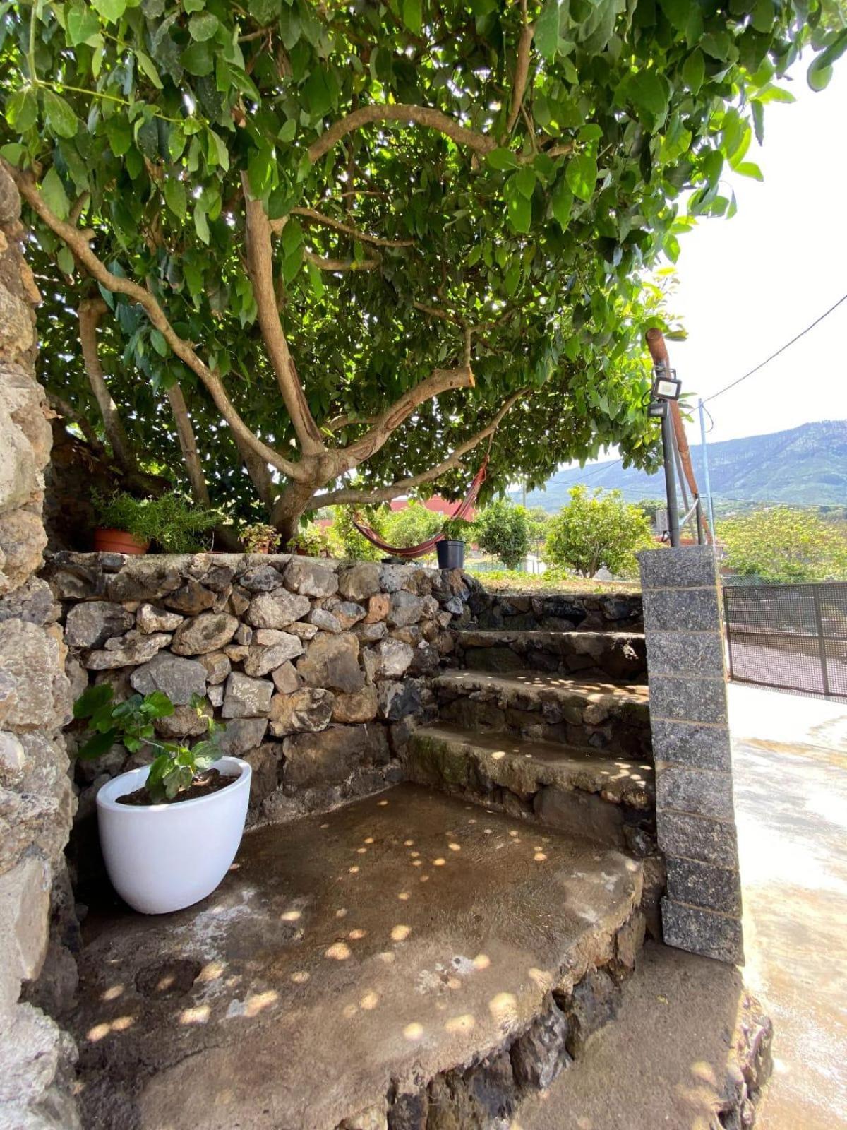 Villa Perejil Realejo Alto Exterior photo